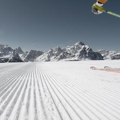 Ski Rental Martin Trojer