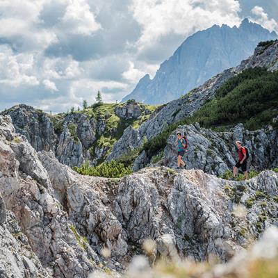 Panoramakarte Sommer