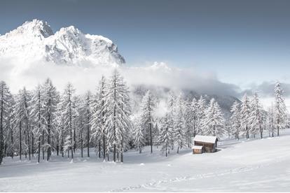 landingpage-winter-10