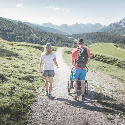 The panoramic alpine pasture hike