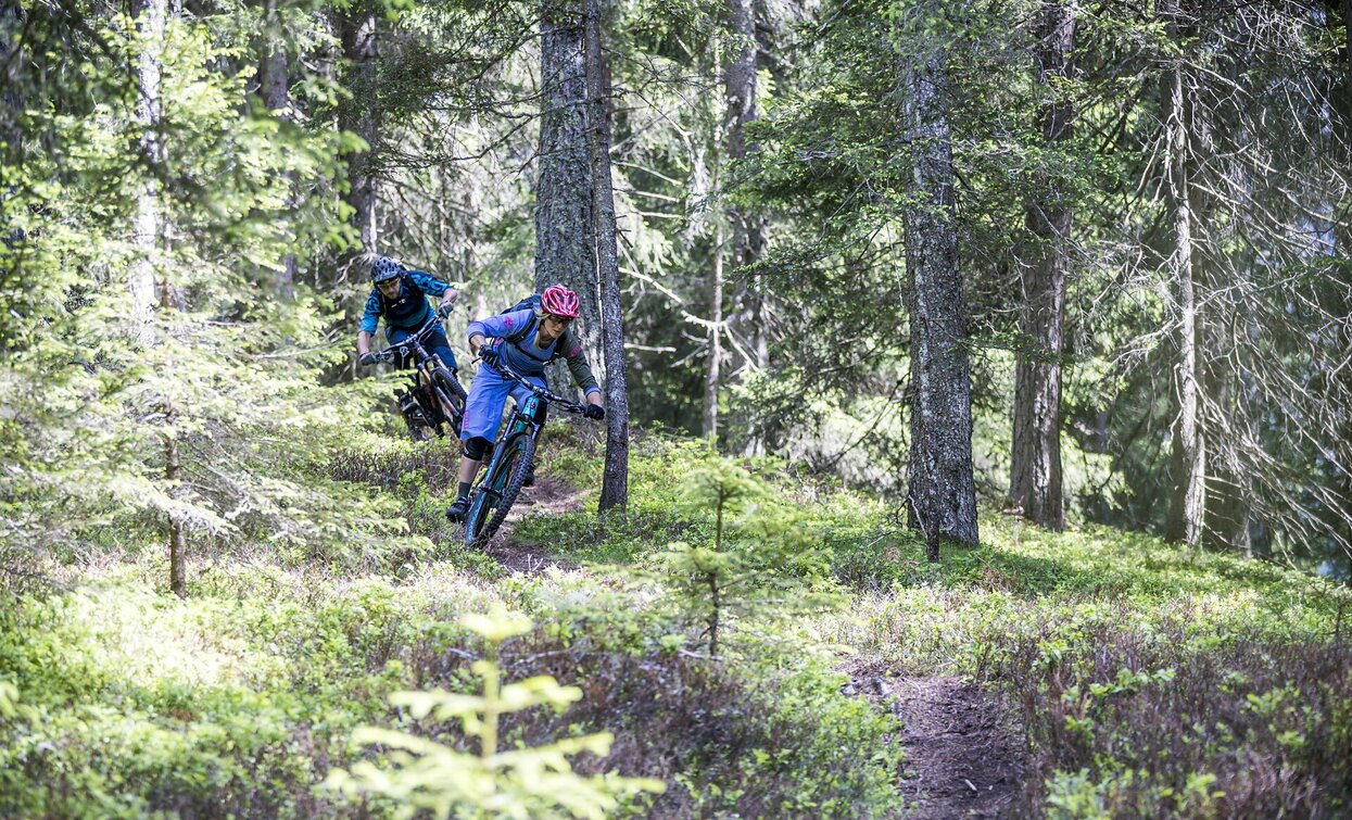 MTB | © © DreiZinnenMarketing/RockyMountain/M.Greber, Dobbiaco MTB | © © DreiZinnenMarketing/RockyMountain/M.Greber, Dobbiaco