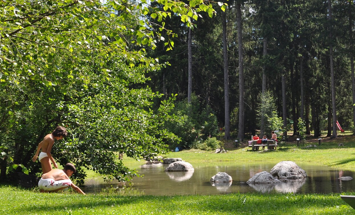 Dobbiaco - Grazze - Grieswaldile | © © TvToblach, Dobbiaco Dobbiaco - Grazze - Grieswaldile | © © TvToblach, Dobbiaco