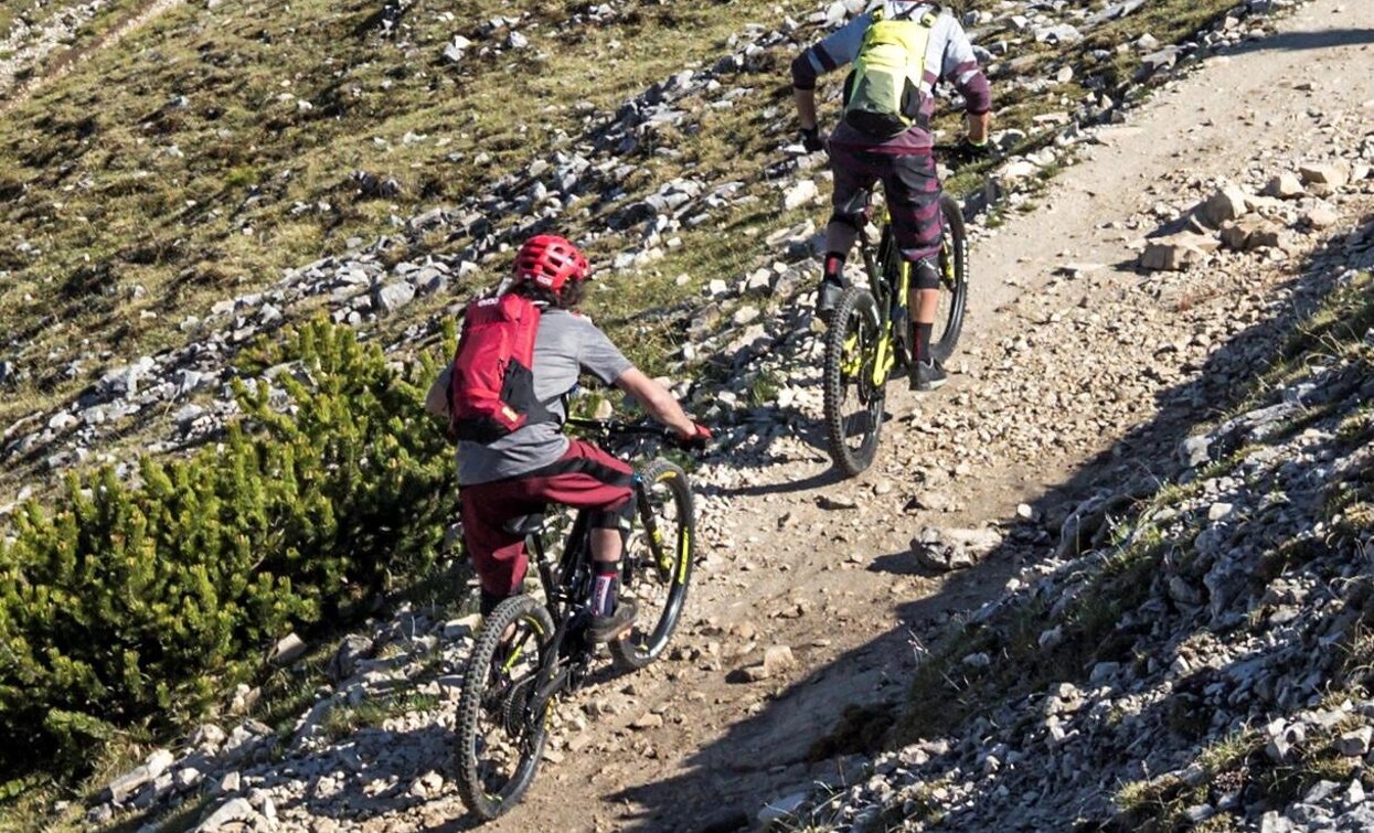 MTB | © © DreiZinnenMarketing/RockyMountain/M.Greber, Dobbiaco MTB | © © DreiZinnenMarketing/RockyMountain/M.Greber, Dobbiaco
