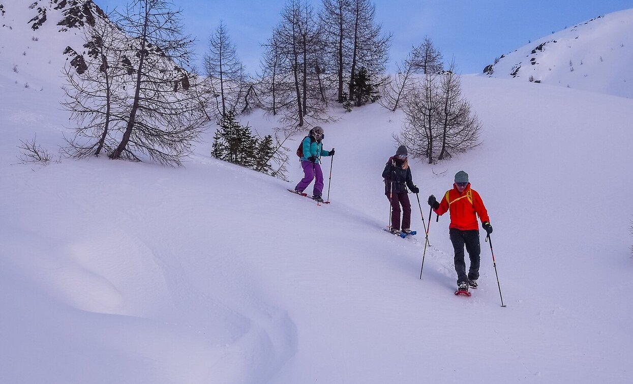 Snowshoe hike: Seikofel | © Harald Wisthaler, Sesto Snowshoe hike: Seikofel | © Harald Wisthaler, Sesto