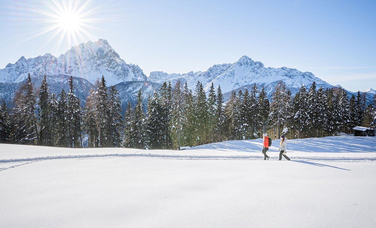 Winter hike: Stiergarten - Klammbachalm - Kreuzbergpass | © Harald Wisthaler, Sesto Winter hike: Stiergarten - Klammbachalm - Kreuzbergpass | © Harald Wisthaler, Sesto