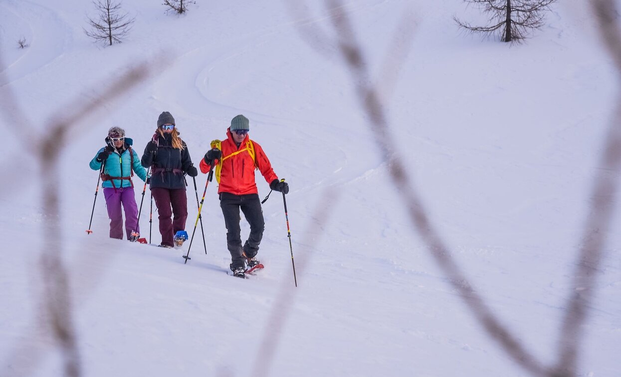 Snowshoe hike: Fischleintal Valley – Rotwand | © Harald Wisthaler, Sesto Snowshoe hike: Fischleintal Valley – Rotwand | © Harald Wisthaler, Sesto