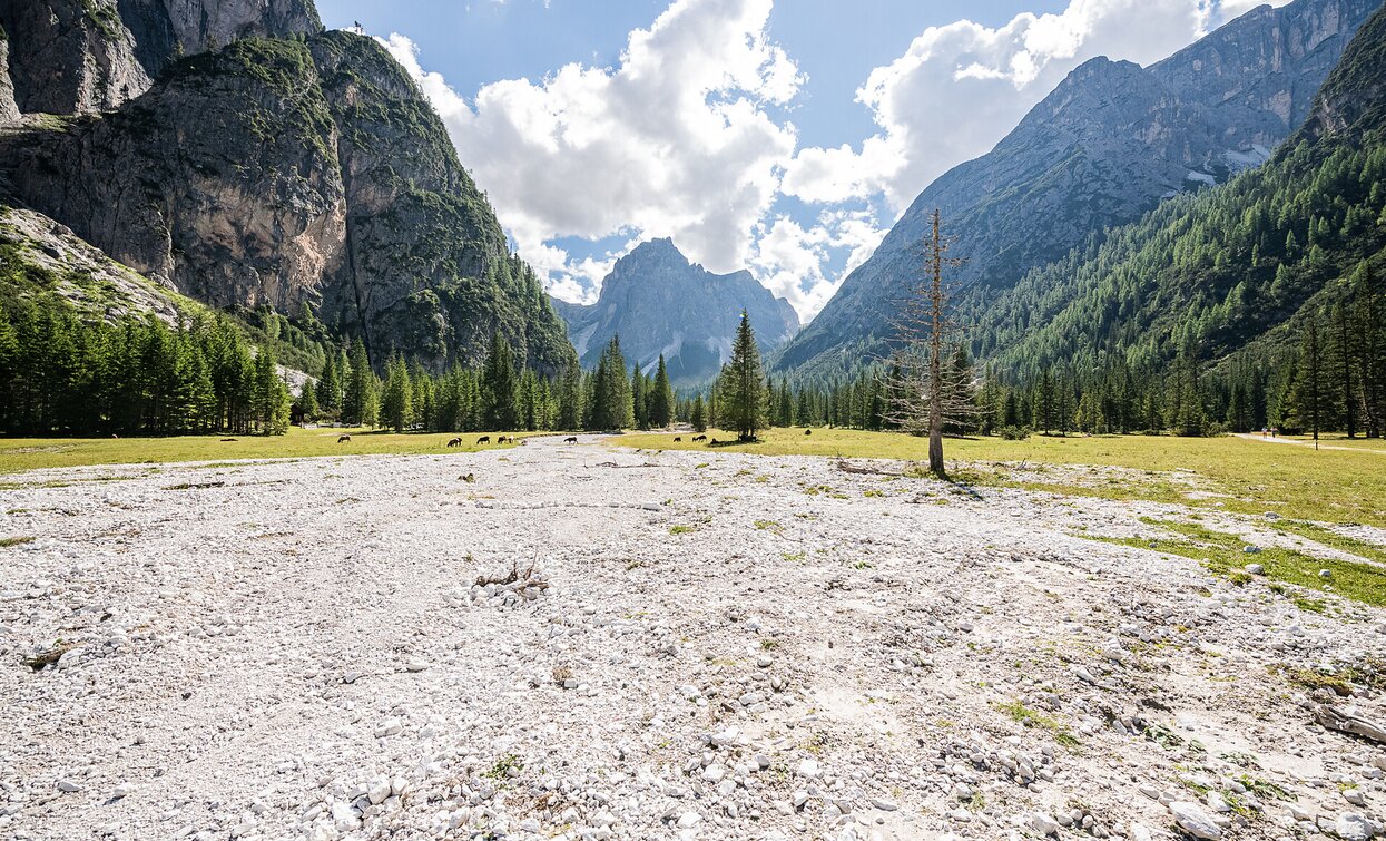 Innerfeldtal | © Innichen Innerfeldtal | © Innichen