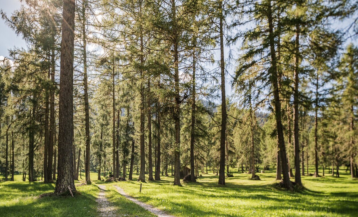 Innerfeldtal | © Innichen Innerfeldtal | © Innichen