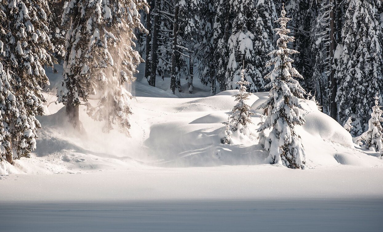 Altprags | © Kotter Steger, Prags Altprags | © Kotter Steger, Prags