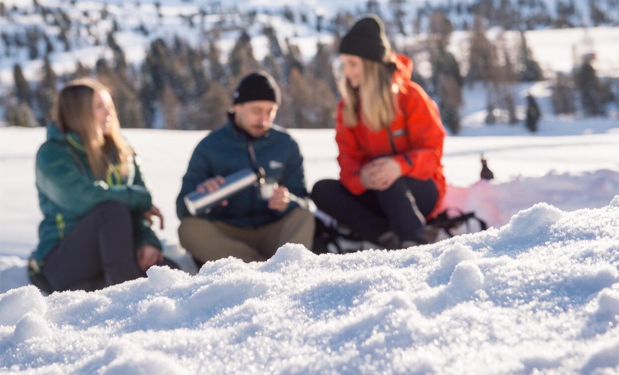 Plätzwiese - Dürrensteinhütte | © Auer Lukas, Prags Plätzwiese - Dürrensteinhütte | © Auer Lukas, Prags