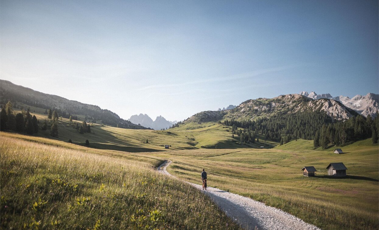 Brückele - Plätzwiese | © Kotter Steger, Braies Brückele - Plätzwiese | © Kotter Steger, Braies