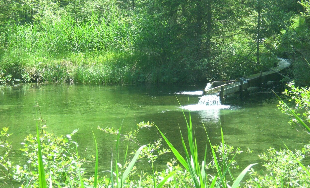 Quellenweg | © Tourismusverein Prags, Prags Quellenweg | © Tourismusverein Prags, Prags