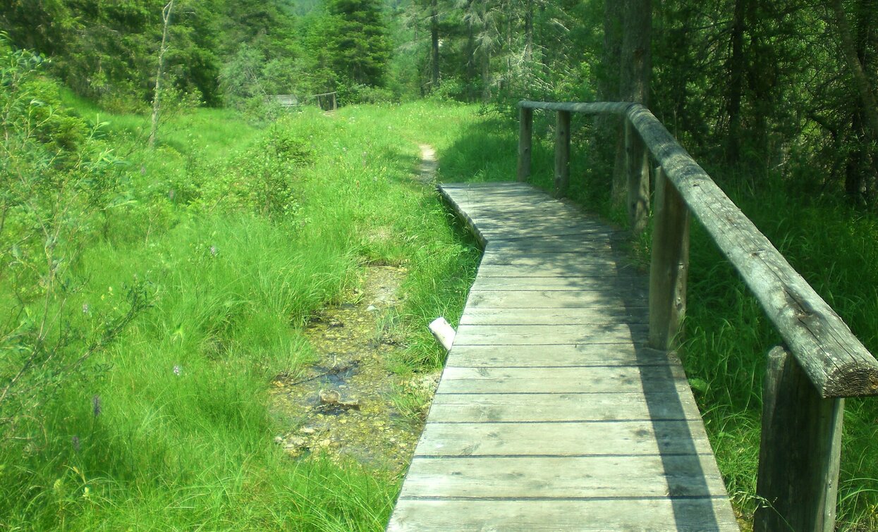 Quellenweg | © Tourismusverein Prags, Braies Quellenweg | © Tourismusverein Prags, Braies