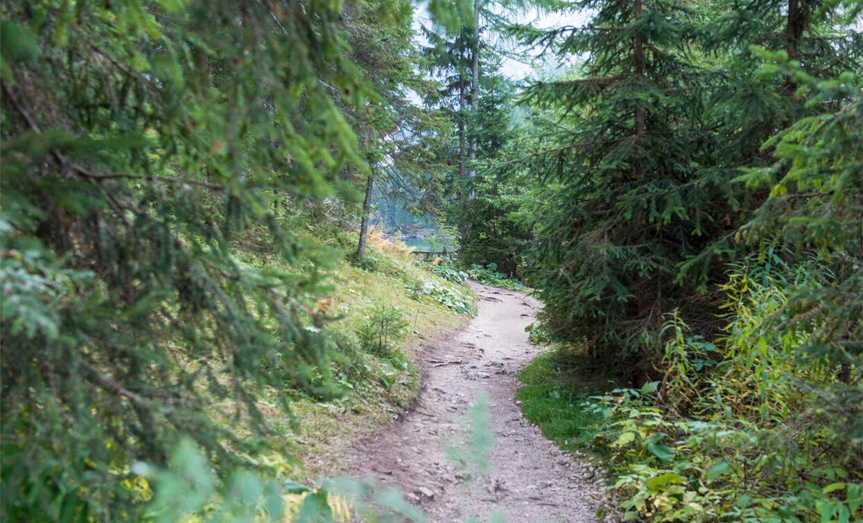 Schwarzberg | © Kotter Steger, Braies Schwarzberg | © Kotter Steger, Braies