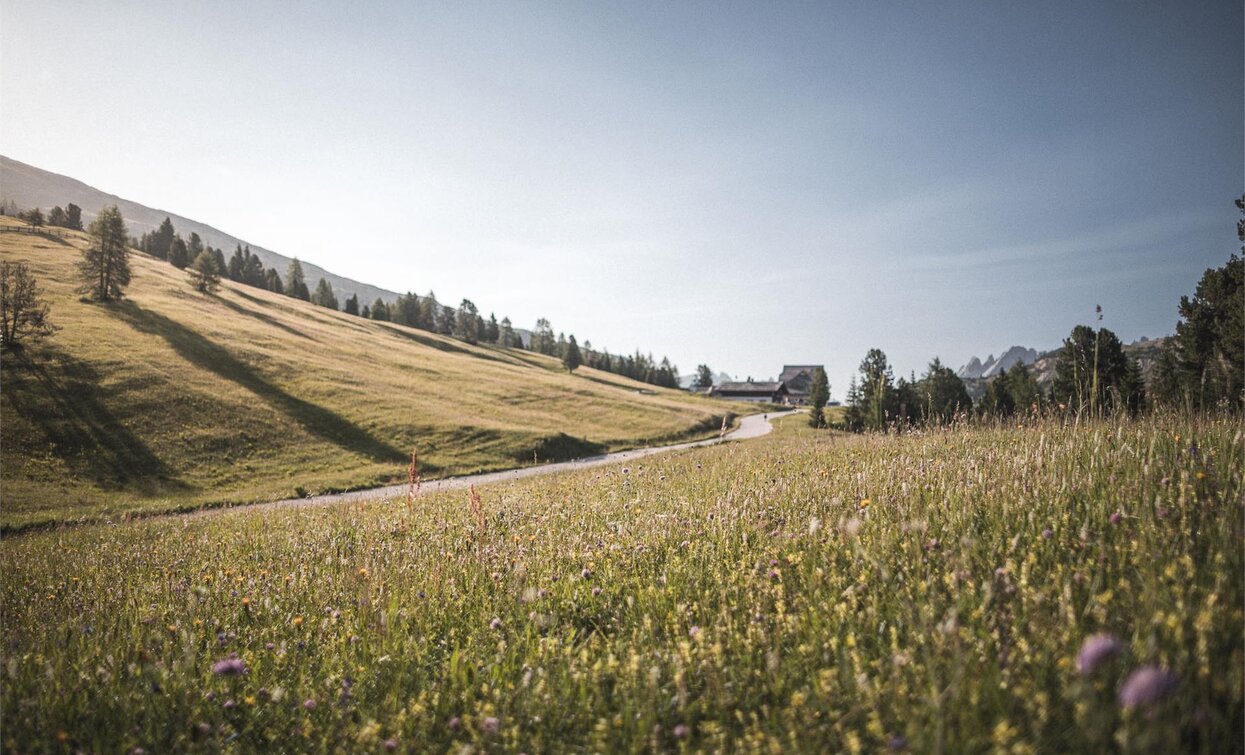 Lake Prags/Braies - Hochalmhütten | © Kotter Steger, Braies Lake Prags/Braies - Hochalmhütten | © Kotter Steger, Braies
