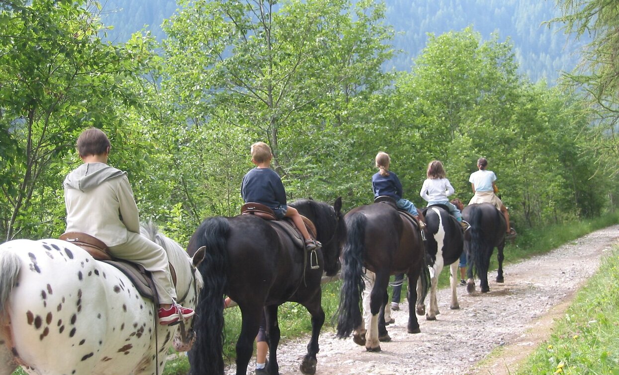 Reitstunde | © Reitstall Tschurtschenthaler, Sexten Reitstunde | © Reitstall Tschurtschenthaler, Sexten