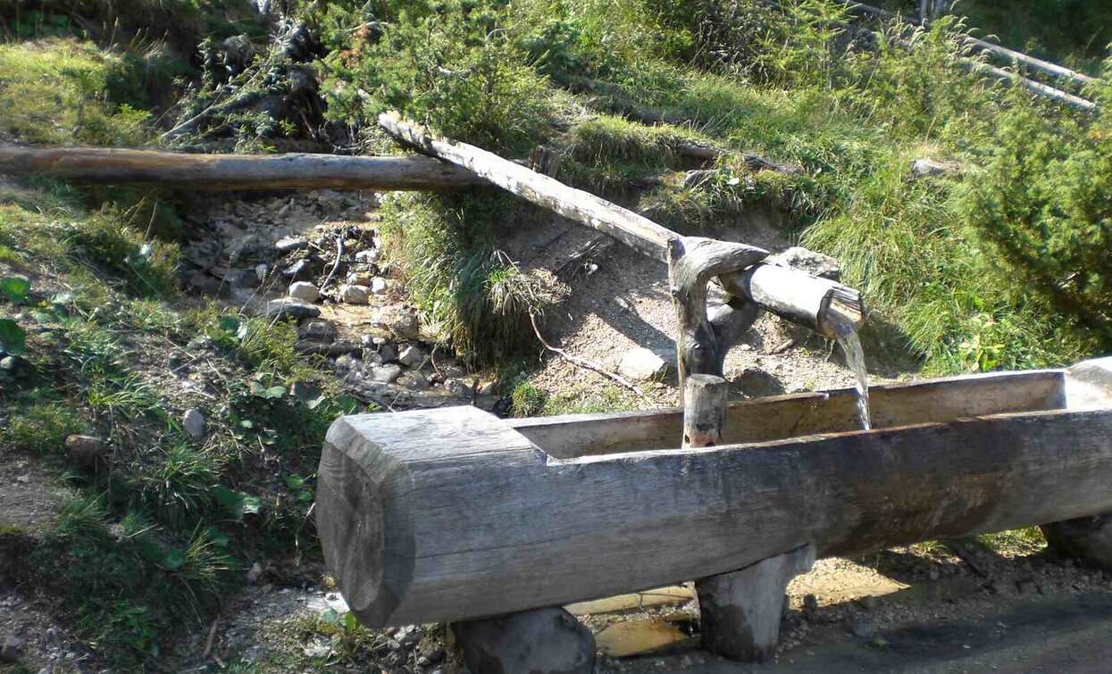 Drau | © © TvToblach, Dobbiaco Drau | © © TvToblach, Dobbiaco