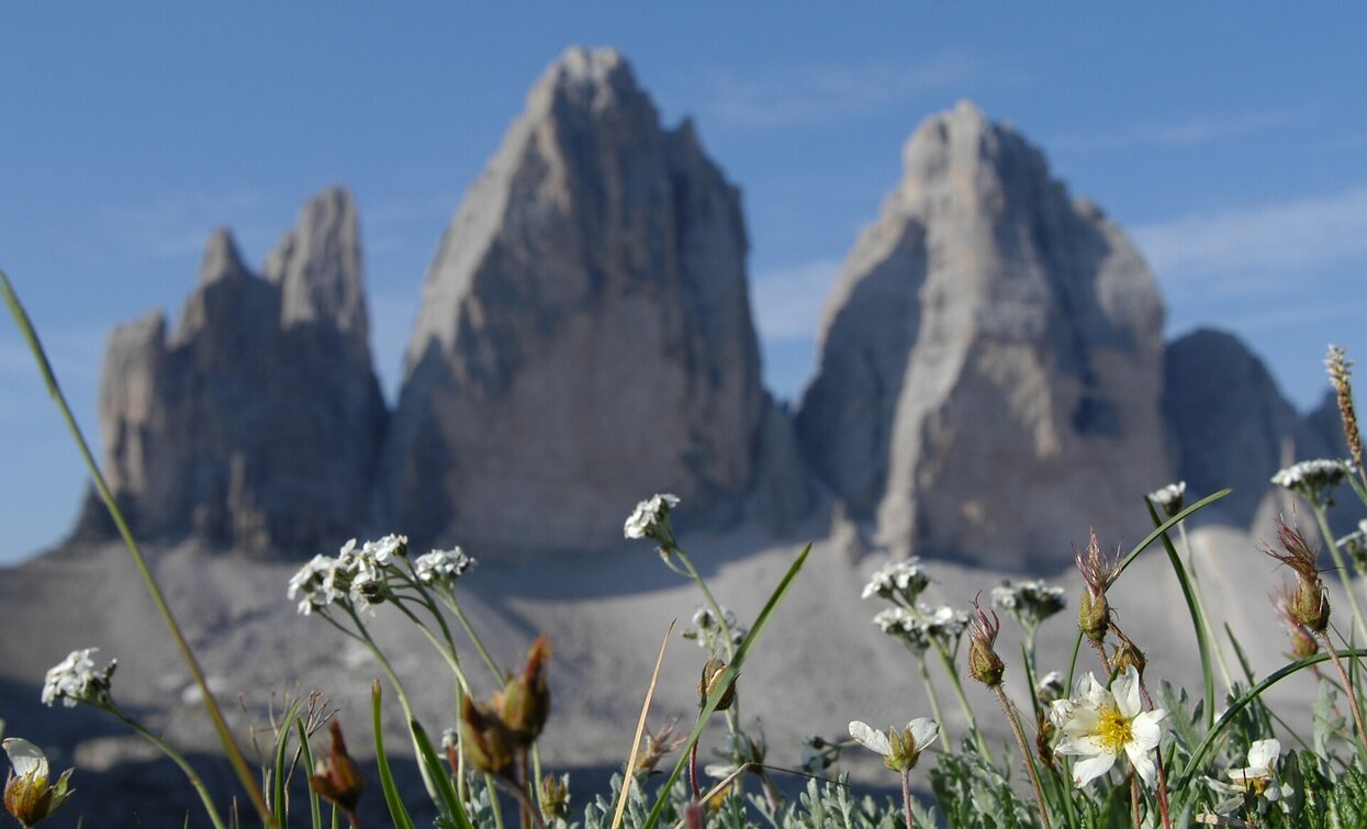 Tre Cime di Lavaredo | © @TVToblach, Dobbiaco Tre Cime di Lavaredo | © @TVToblach, Dobbiaco