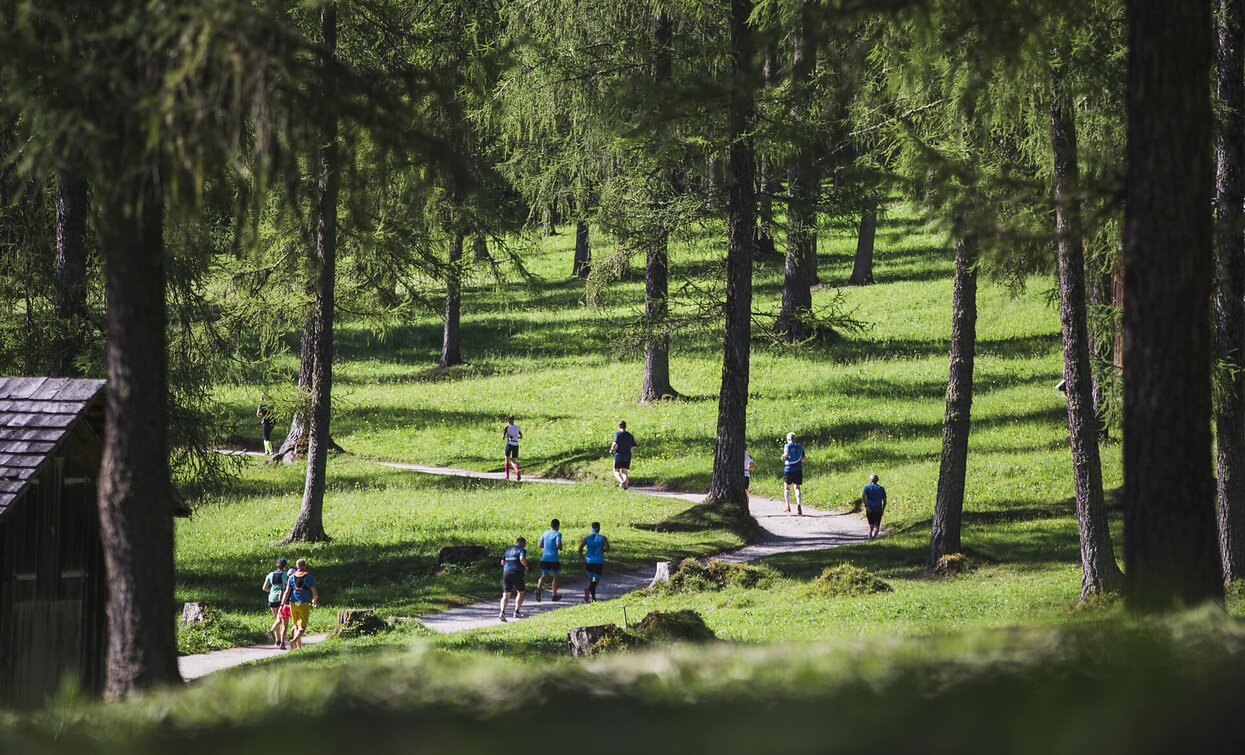 Trailrunning Fischleintal valley | © TV Sexten - Harald Wisthaler, Sesto Trailrunning Fischleintal valley | © TV Sexten - Harald Wisthaler, Sesto