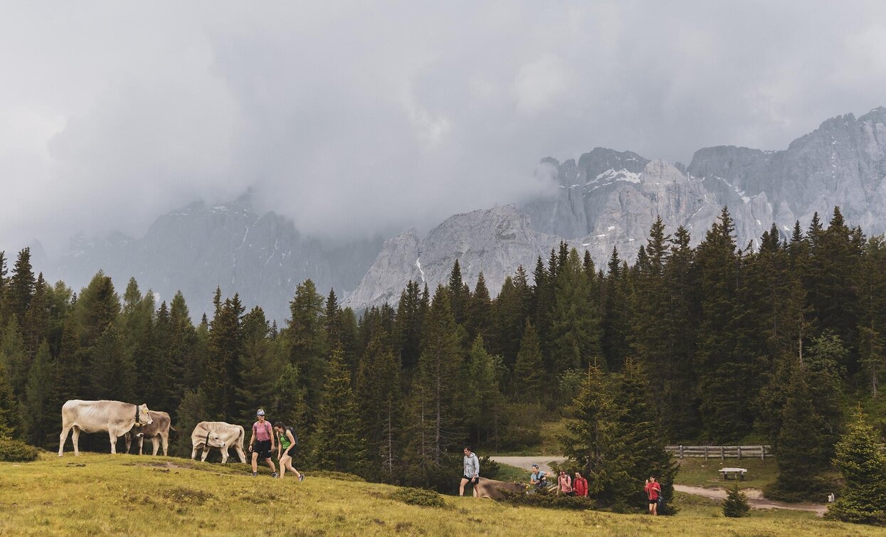 Sexten Alpine Pastures | © Salewa, Sesto Sexten Alpine Pastures | © Salewa, Sesto