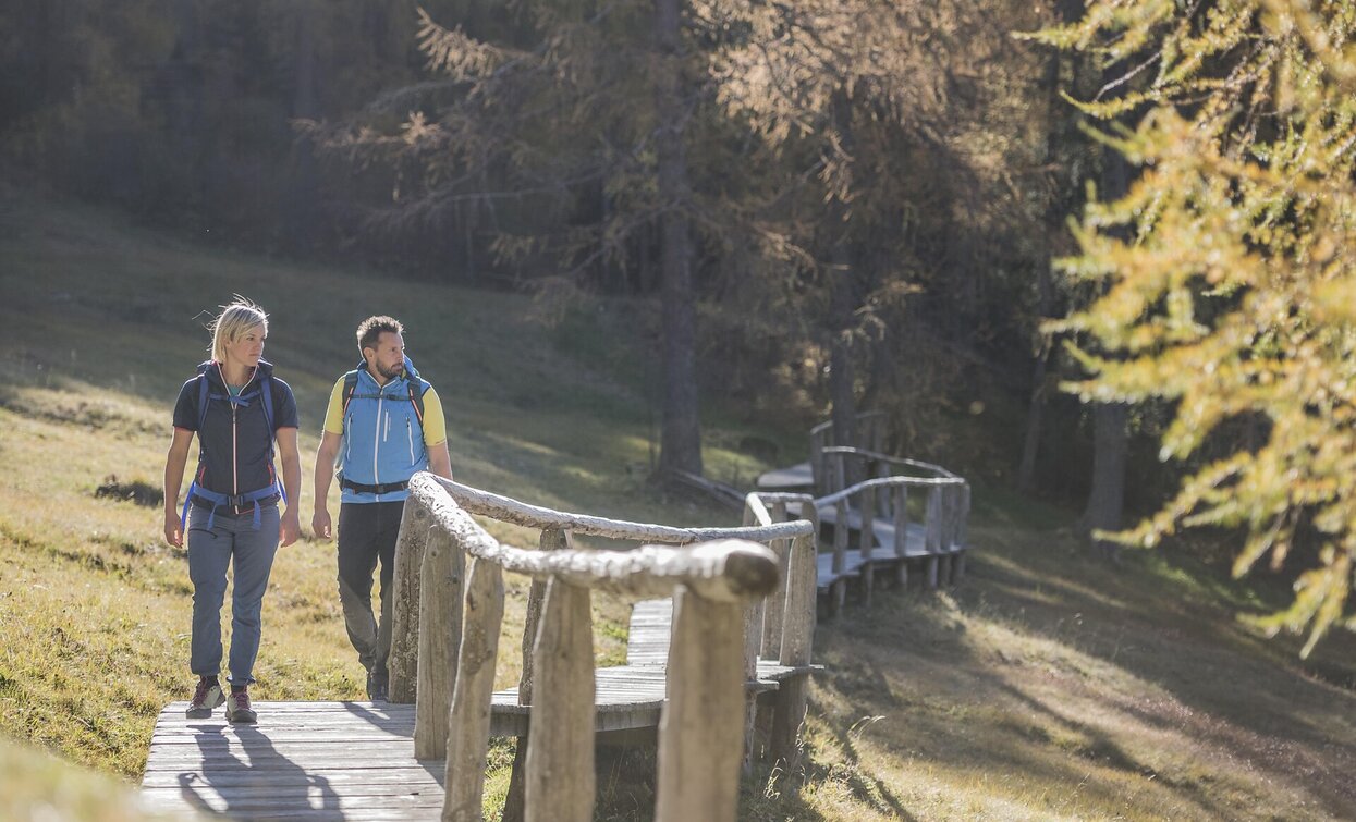 Hiking on Helm | © TV Sexten - Harald Wisthaler, Sesto Hiking on Helm | © TV Sexten - Harald Wisthaler, Sesto
