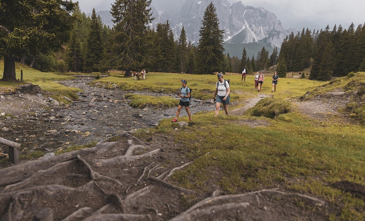 Sexten Alpine Pastures | © Salewa, Sesto Sexten Alpine Pastures | © Salewa, Sesto