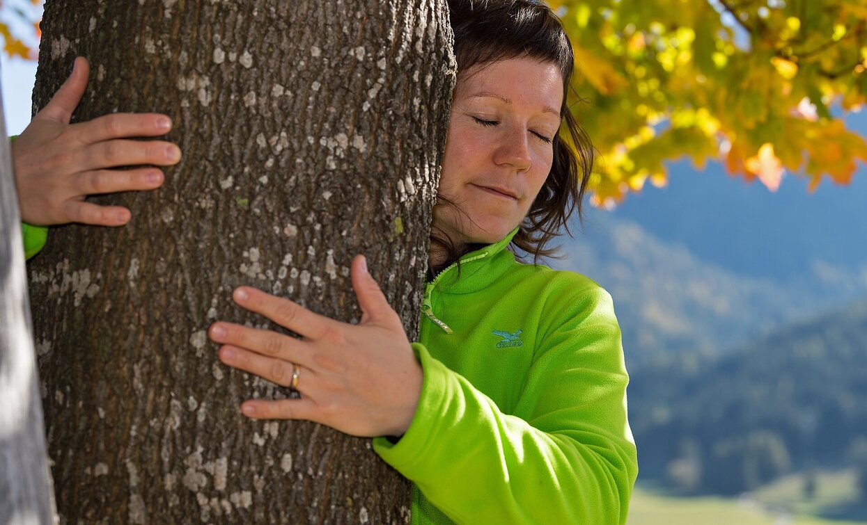 forest therapy | © Oberhofer Hermann, Prags, Villabassa forest therapy | © Oberhofer Hermann, Prags, Villabassa