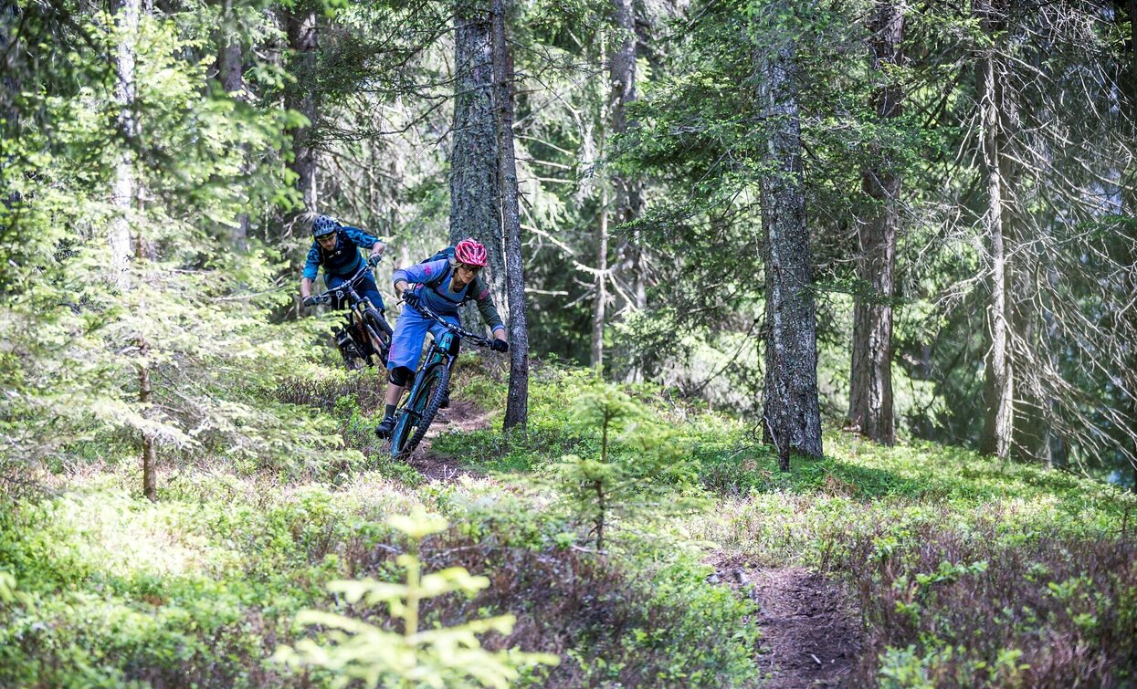 MTB Technik Parcours Signaue | © Rocky_Mountain_Markus_Gerber_, Sesto MTB Technik Parcours Signaue | © Rocky_Mountain_Markus_Gerber_, Sesto
