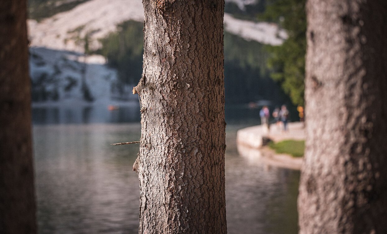 Lago di Braies - Villabassa | © Kotter Steger, Braies Lago di Braies - Villabassa | © Kotter Steger, Braies