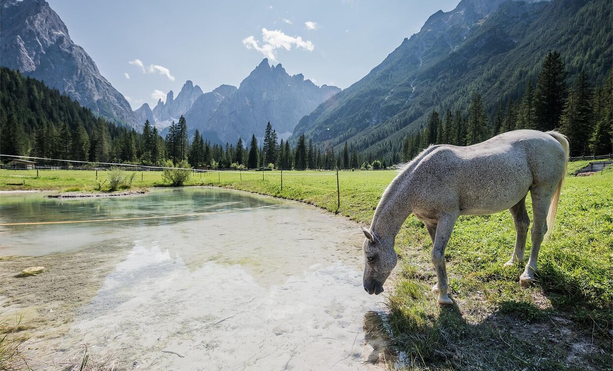 Val Fiscalina | © Harald Wisthaler, Sesto Val Fiscalina | © Harald Wisthaler, Sesto