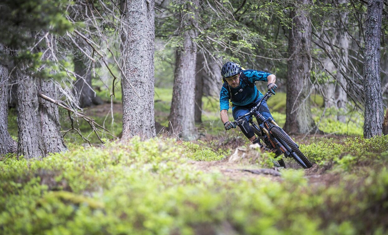 © Harald Wisthaler, Sesto © Harald Wisthaler, Sesto