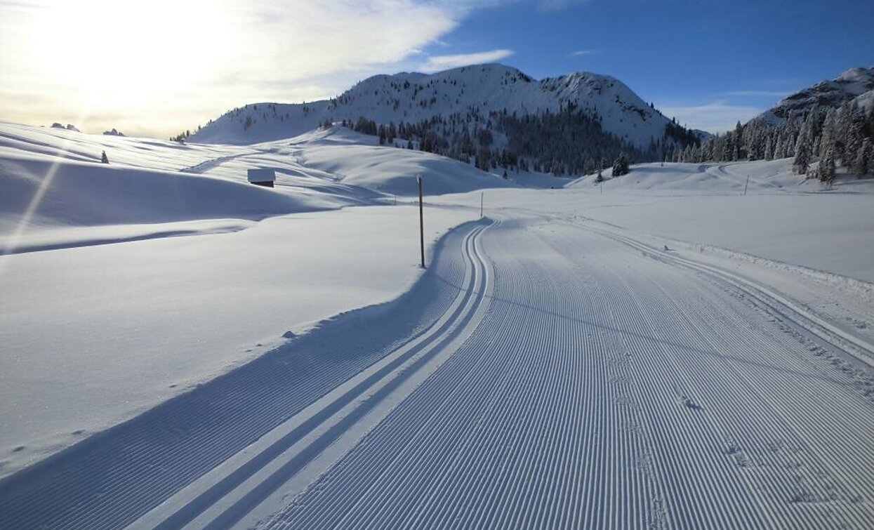 Loipe | © Braies Loipe | © Braies