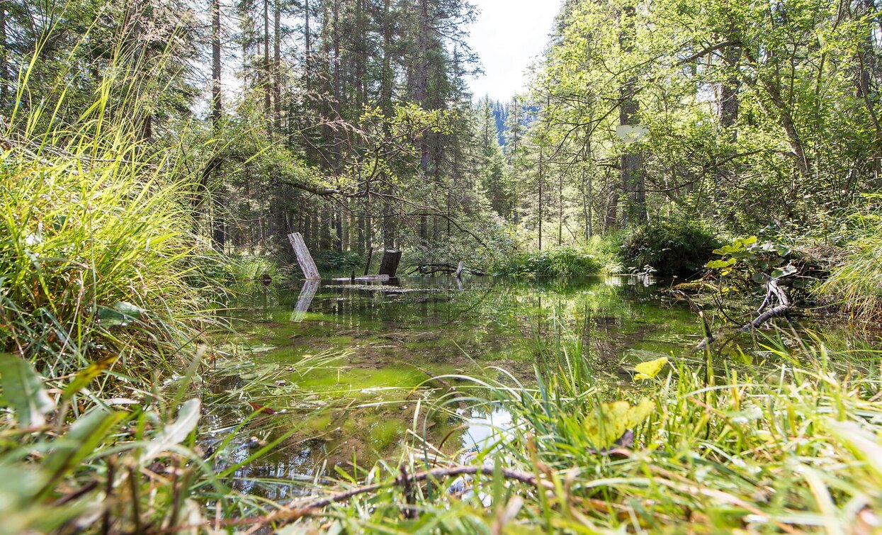 Maite | © Braies Maite | © Braies