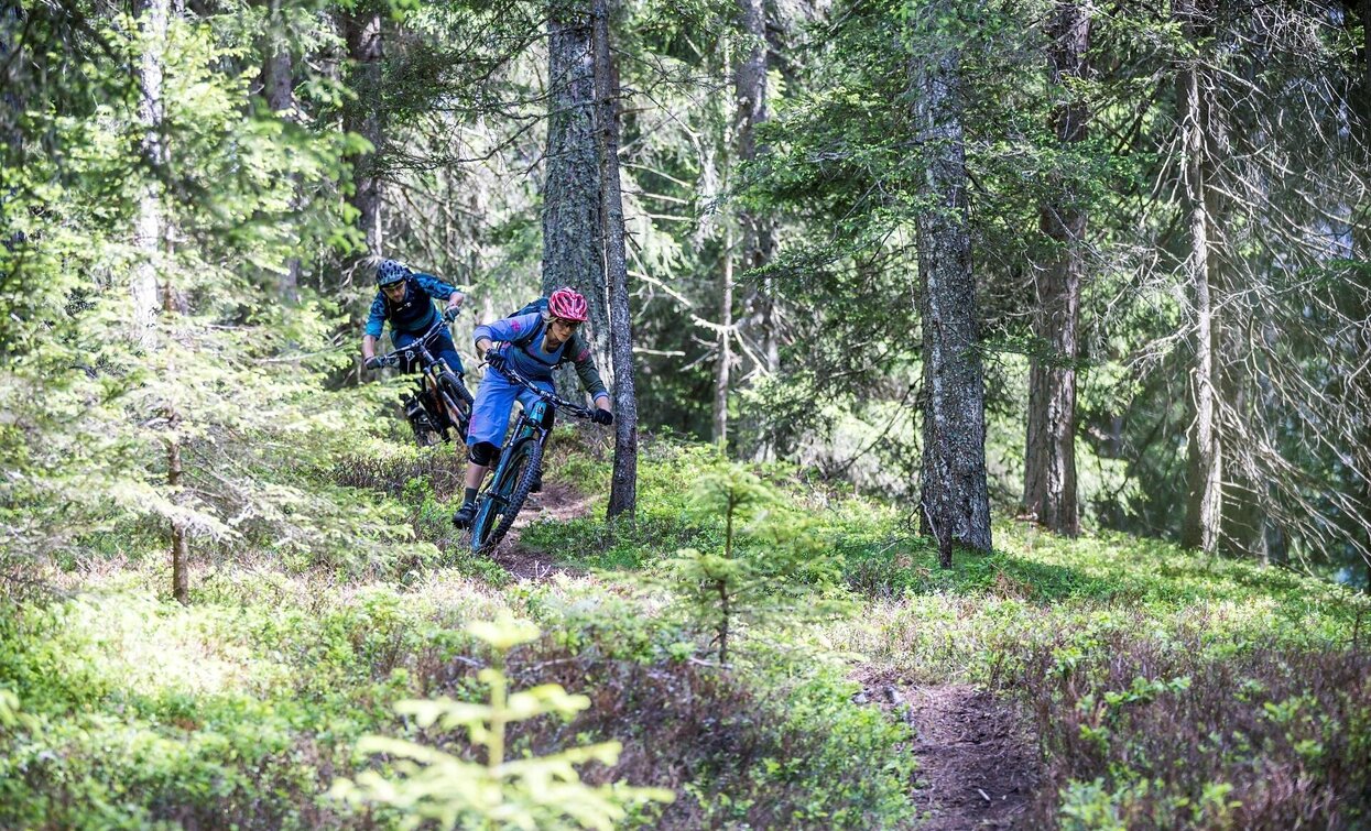 MTB Technik Parcours Signaue | © Sesto MTB Technik Parcours Signaue | © Sesto