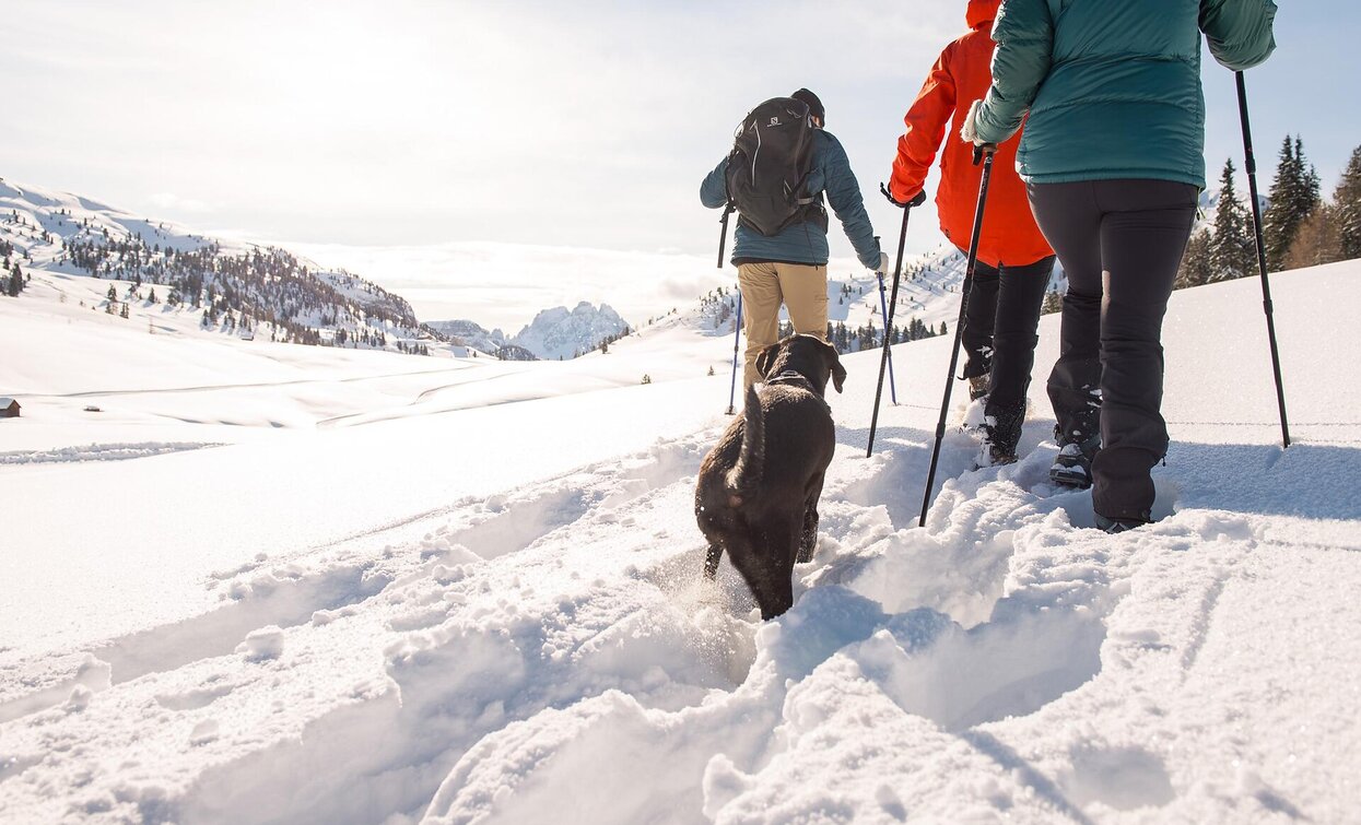 high plateau Plätzwiese - Strudelkopf | © Braies high plateau Plätzwiese - Strudelkopf | © Braies