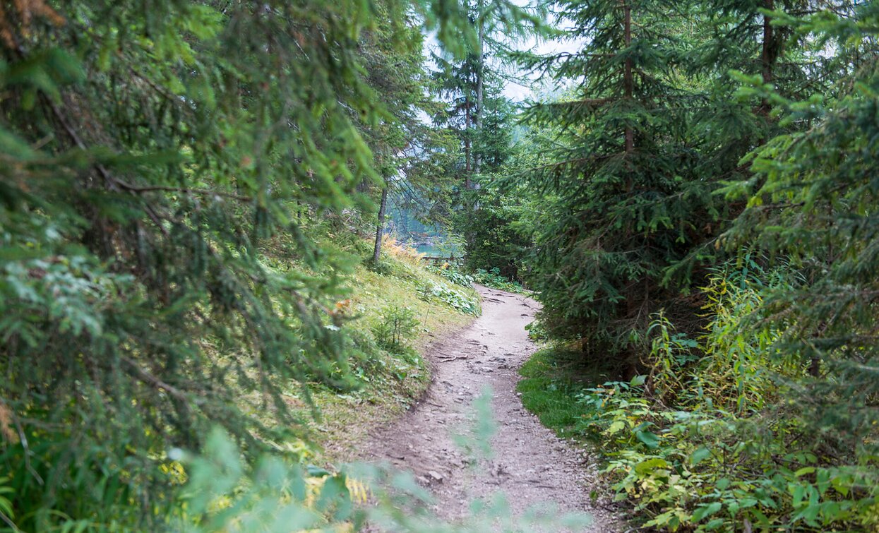 Schwarzberg | © Braies Schwarzberg | © Braies