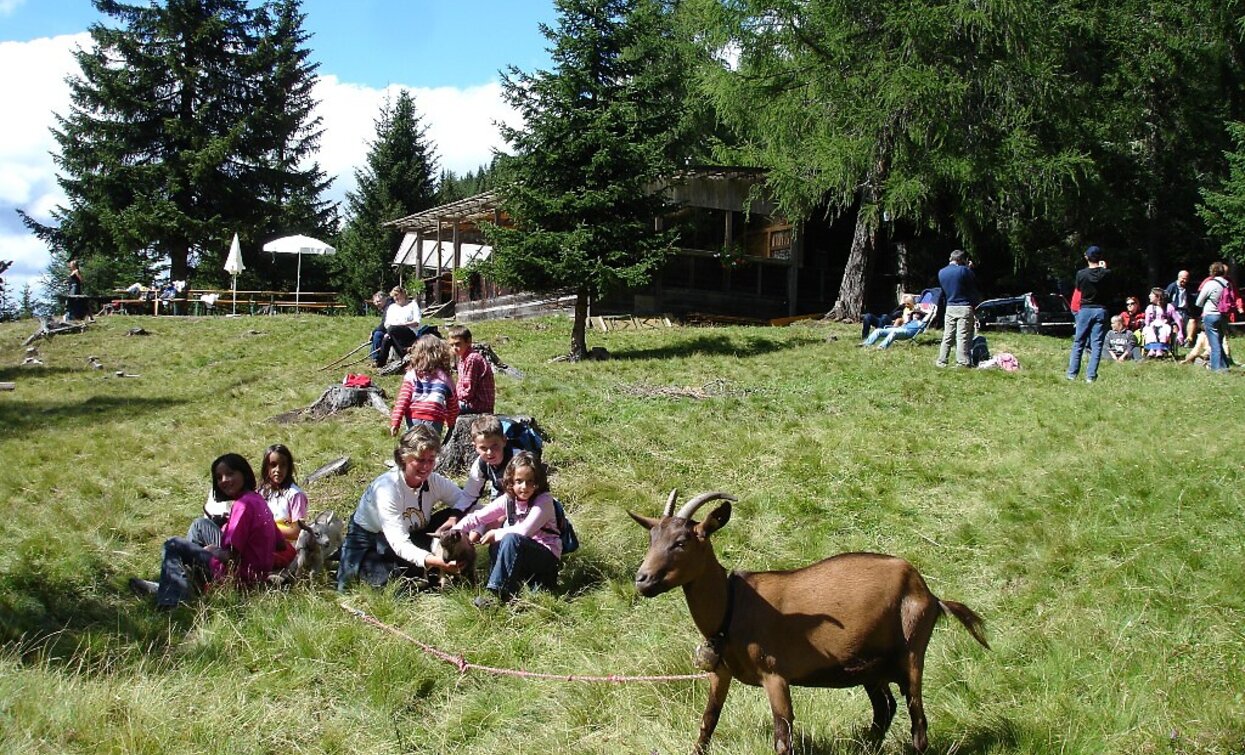 © Dobbiaco © Dobbiaco