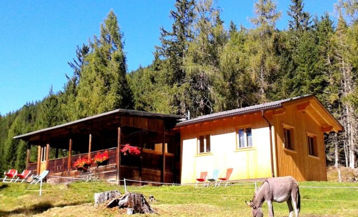 Lachwiesenhut | © Dobbiaco Lachwiesenhut | © Dobbiaco