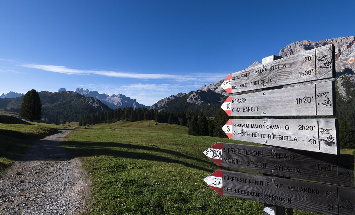 Brückele - Stolla Alm - Plätzwiese | © Braies Brückele - Stolla Alm - Plätzwiese | © Braies