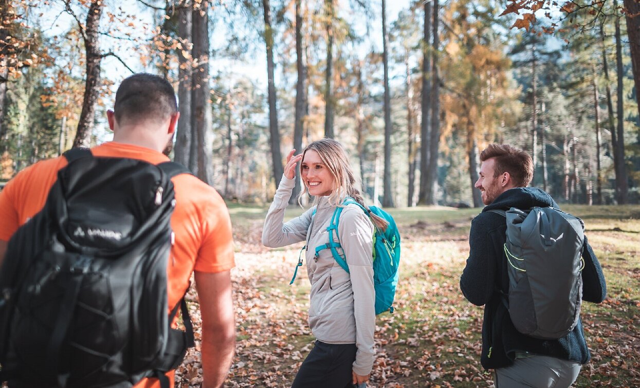 Säge - Brückele/Ponticello | © Braies Säge - Brückele/Ponticello | © Braies