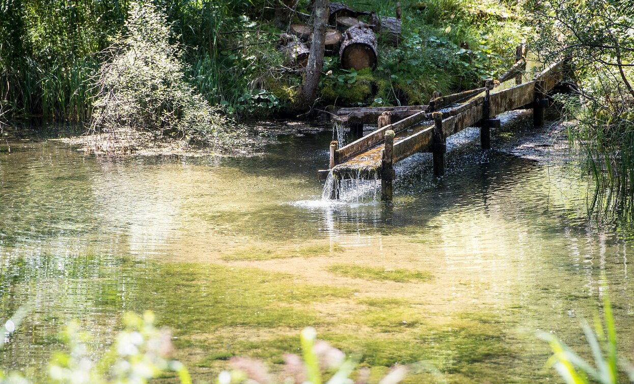 Maite | © Braies Maite | © Braies