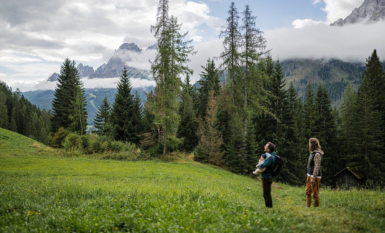 Da Sesto alla Cappella del Bosco | © Sesto Da Sesto alla Cappella del Bosco | © Sesto