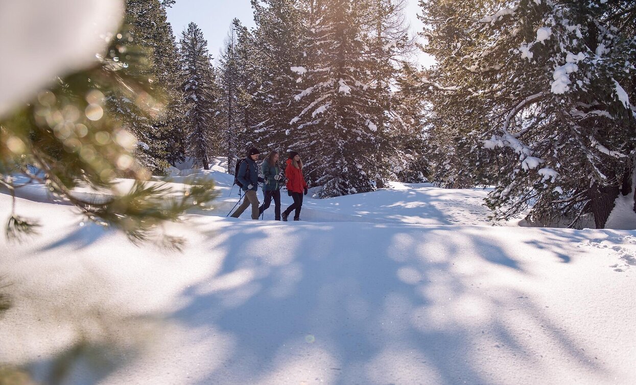 Lärcha Niederdorf | © Braies Lärcha Niederdorf | © Braies