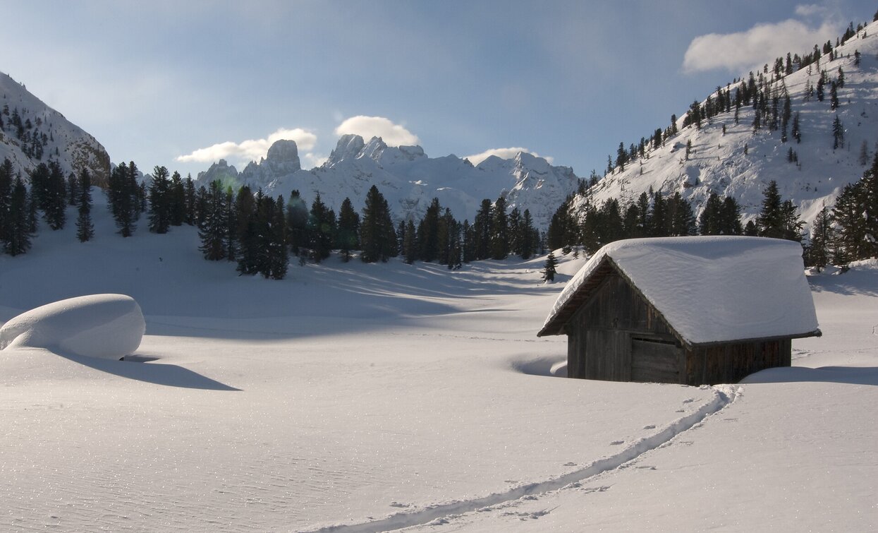 Schluderbach - Plätzwiese | © Toblach Schluderbach - Plätzwiese | © Toblach