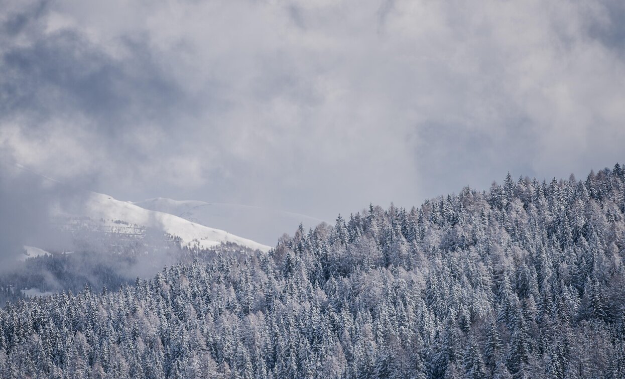 © Dobbiaco © Dobbiaco