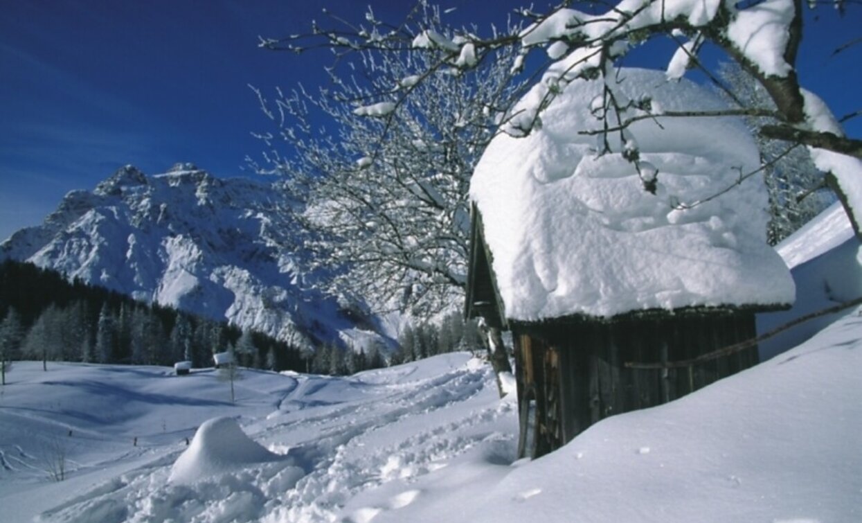 Winterwandern | © Innichen Winterwandern | © Innichen