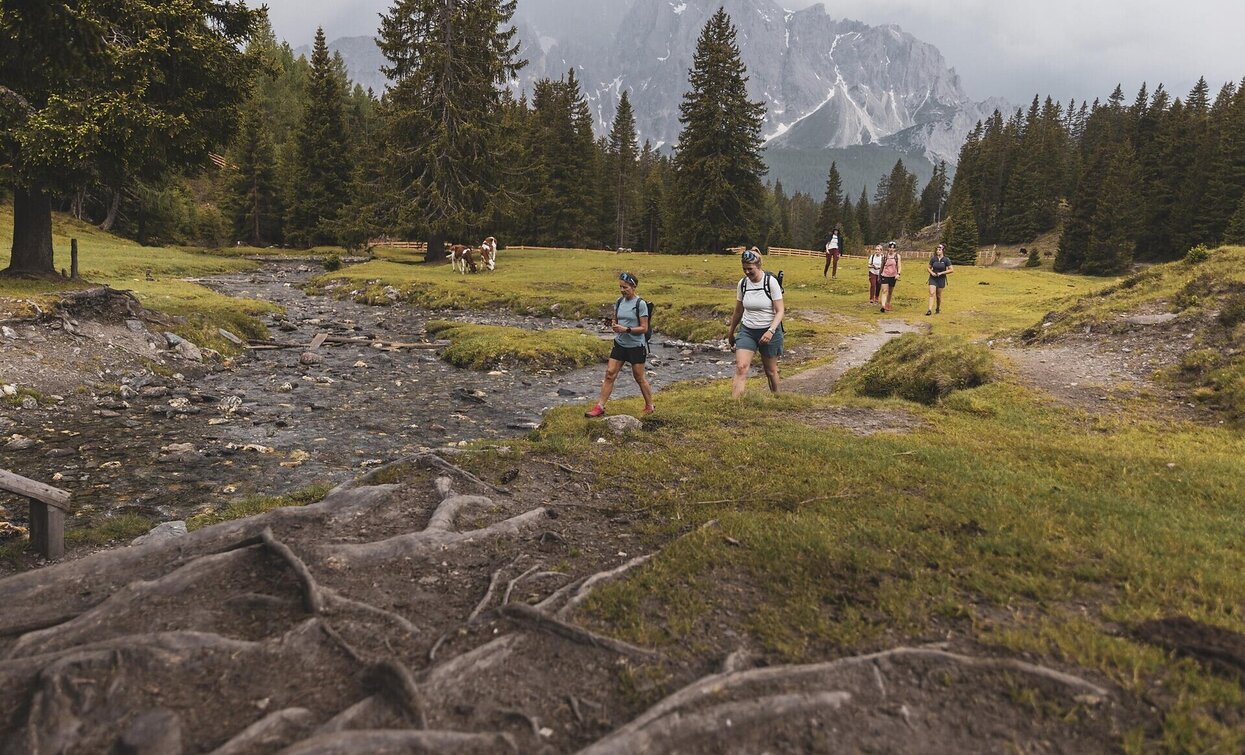 © Salewa © Salewa