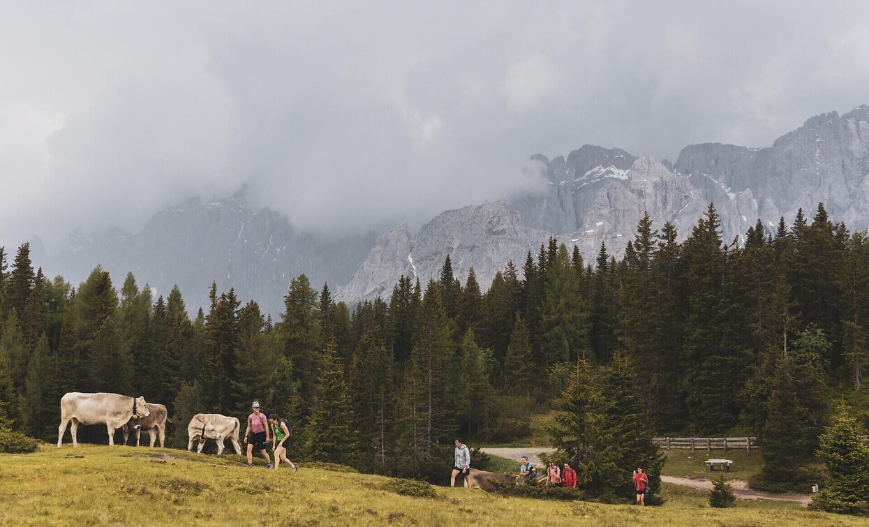 © Salewa © Salewa